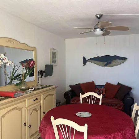 Superbe T2 Face Mer, 3 Couchages, Parking Narbonne-Plage